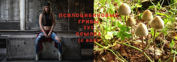 мяу мяу кристалл Верея